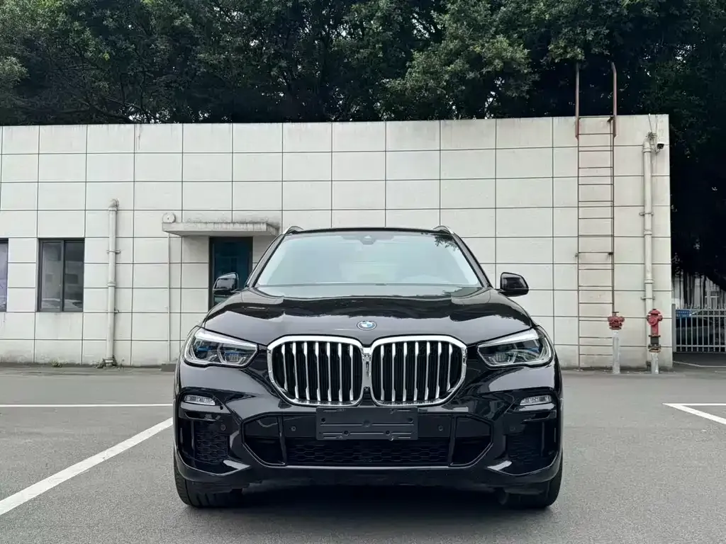 BMW X5 (Import) — фото 9