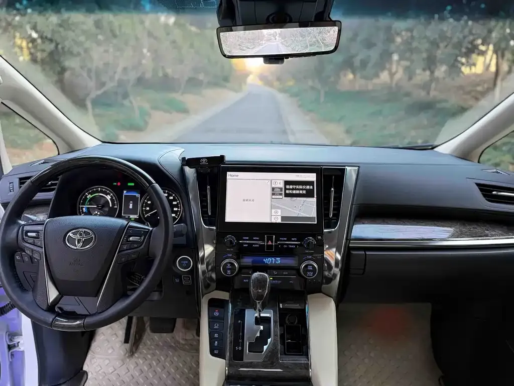 Toyota Alphard — фото 3