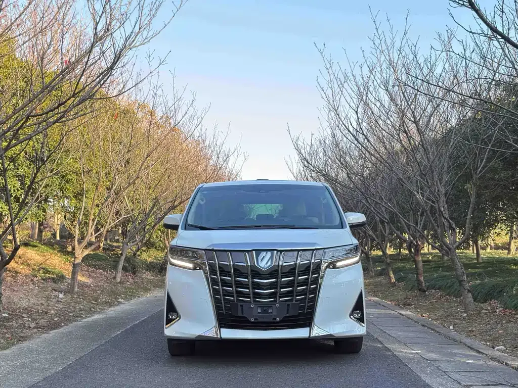 Toyota Alphard — фото 7