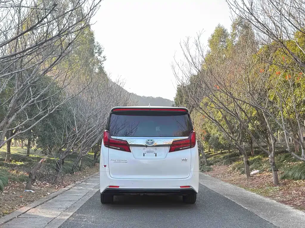 Toyota Alphard — фото 8