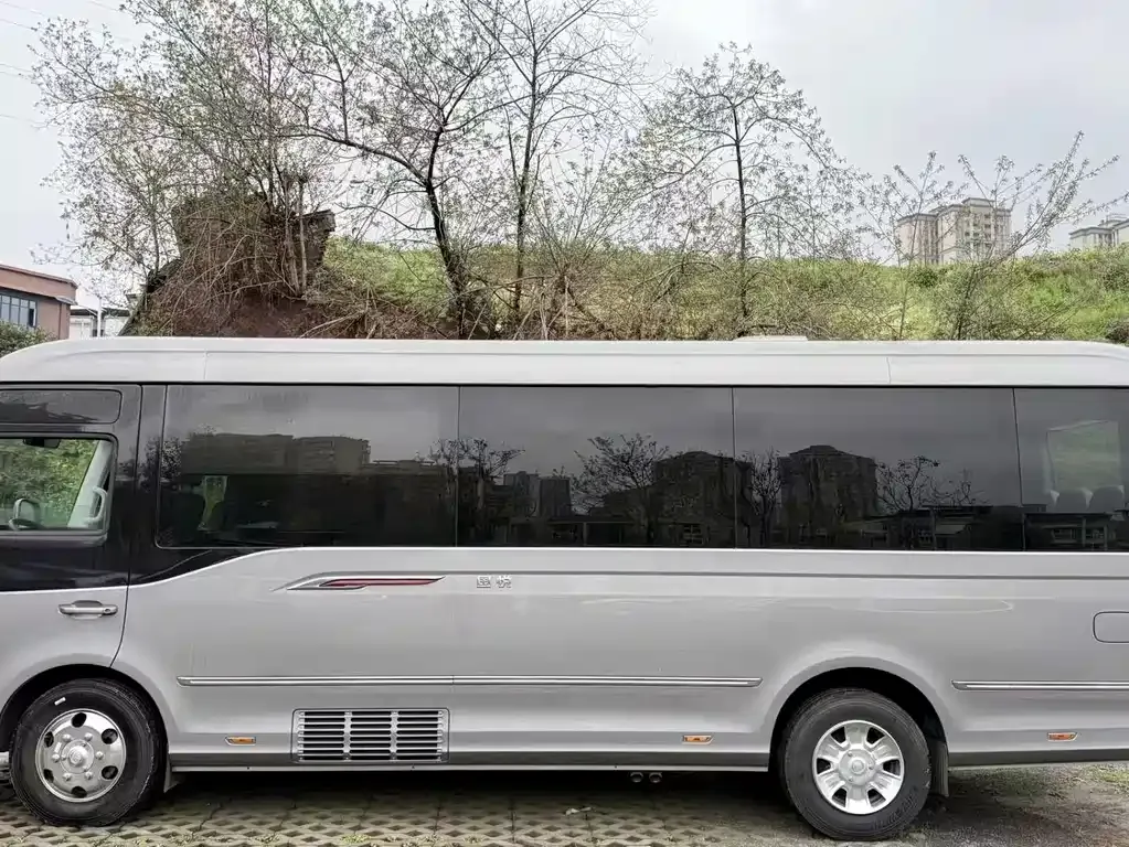 Hongqi Golden Sunflower Guoyue 2025 из CN, фото 10