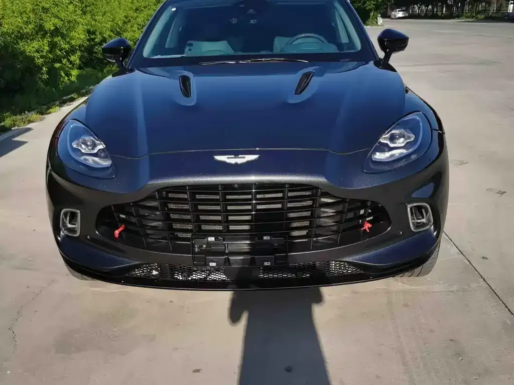 Aston Martin DBX 2021 из CN, фото 8