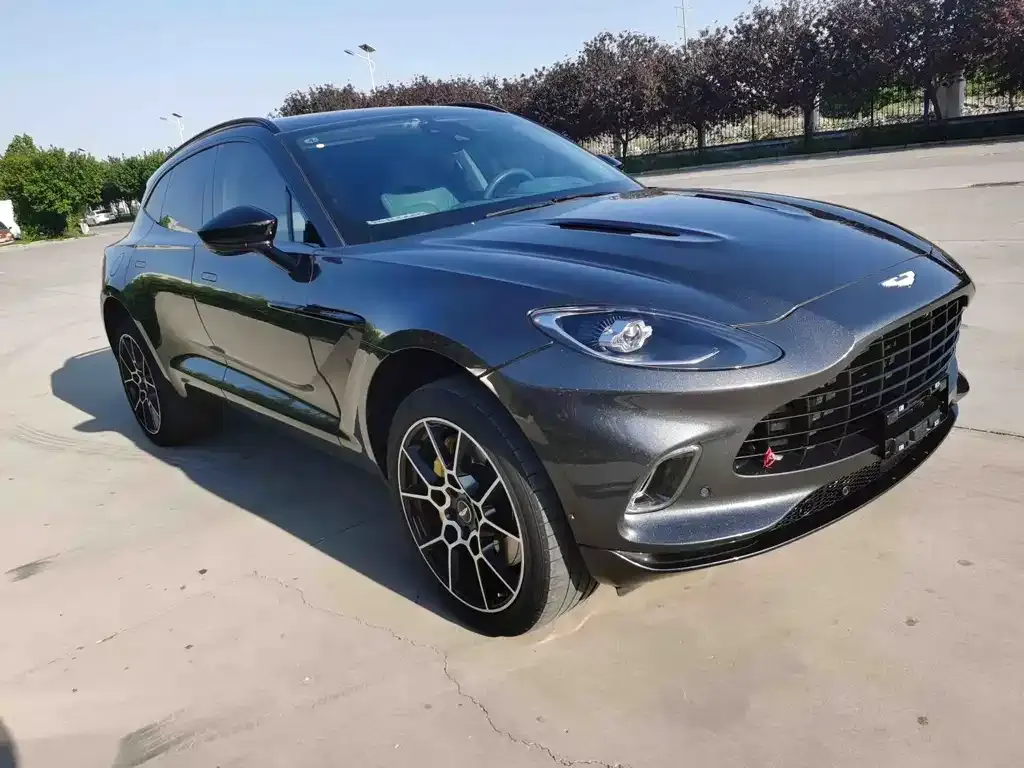 Aston Martin DBX 2021 из CN, фото 7