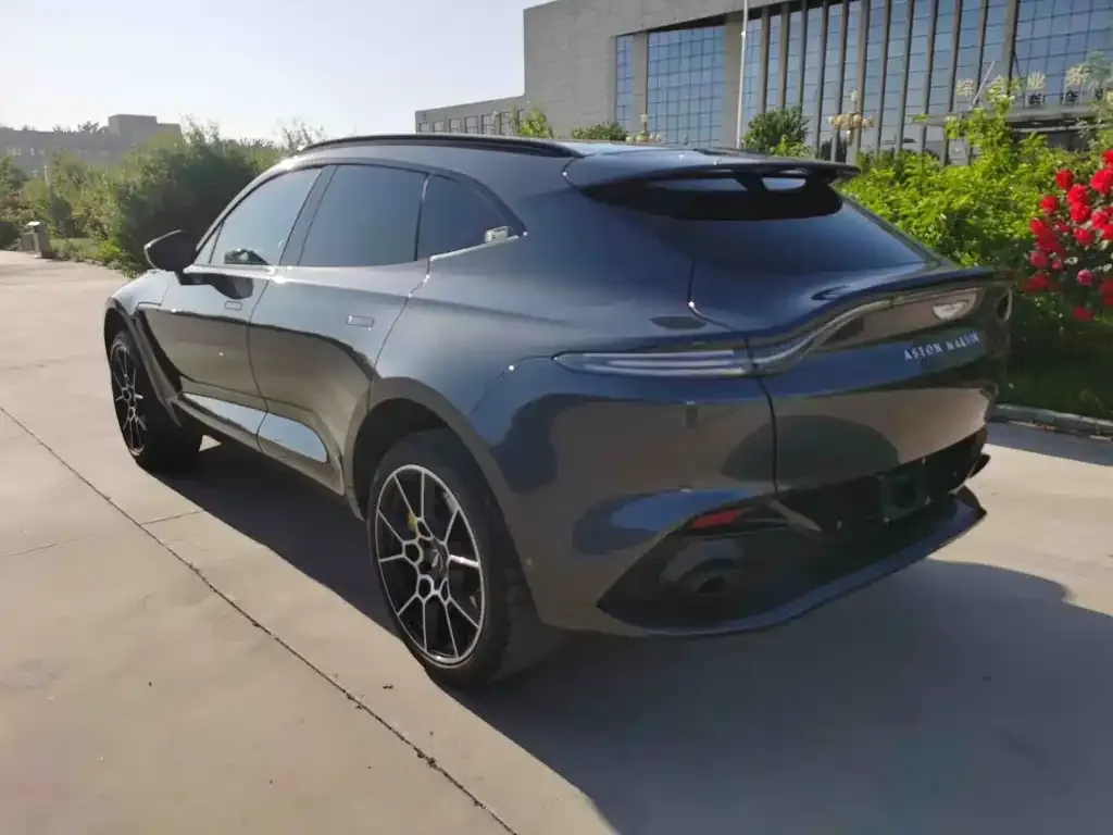 Aston Martin DBX 2021 из CN, фото 4