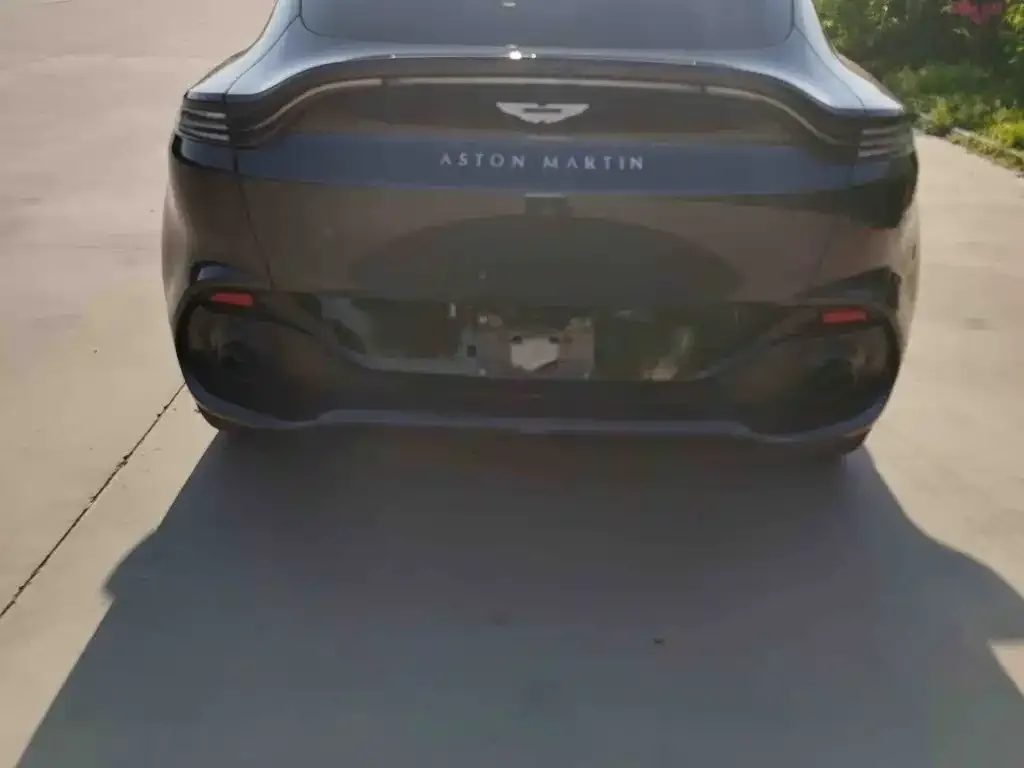 Aston Martin DBX 2021 из CN, фото 3