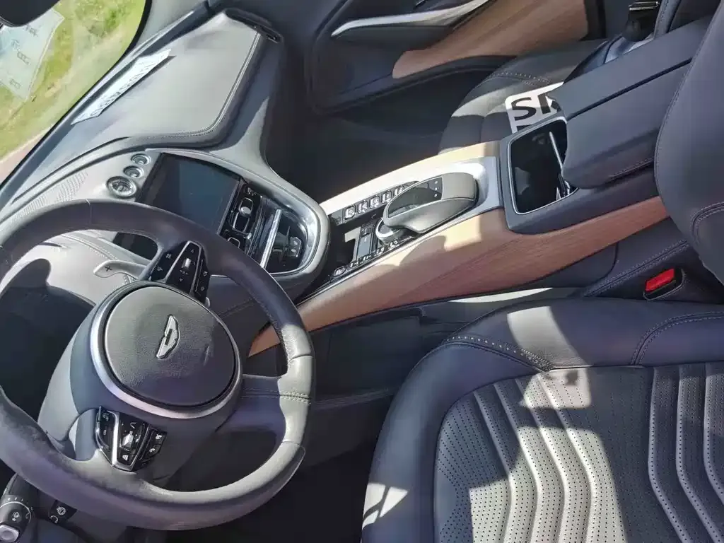 Aston Martin DBX 2021 из CN, фото 6