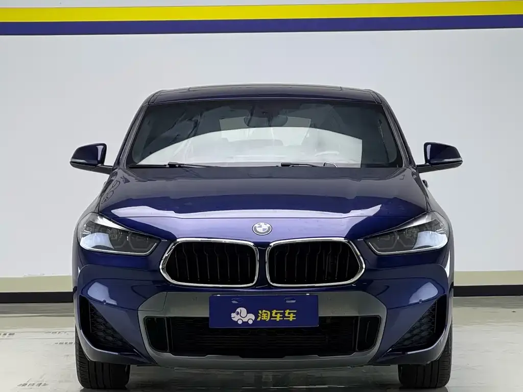 BMW X2 2021 из CN, фото 2