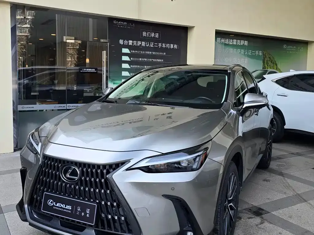 Lexus NX 2022 из CN, фото 1