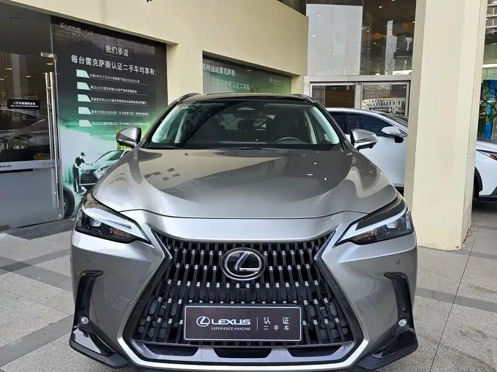 Lexus NX 2022 из CN, фото 7