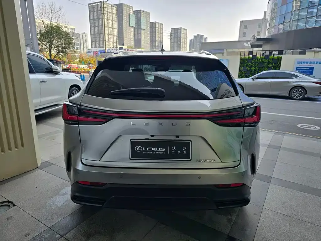 Lexus NX 2022 из CN, фото 4