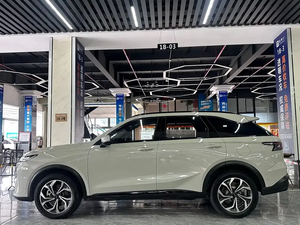 Haval Xiaolong MAX — фото 4
