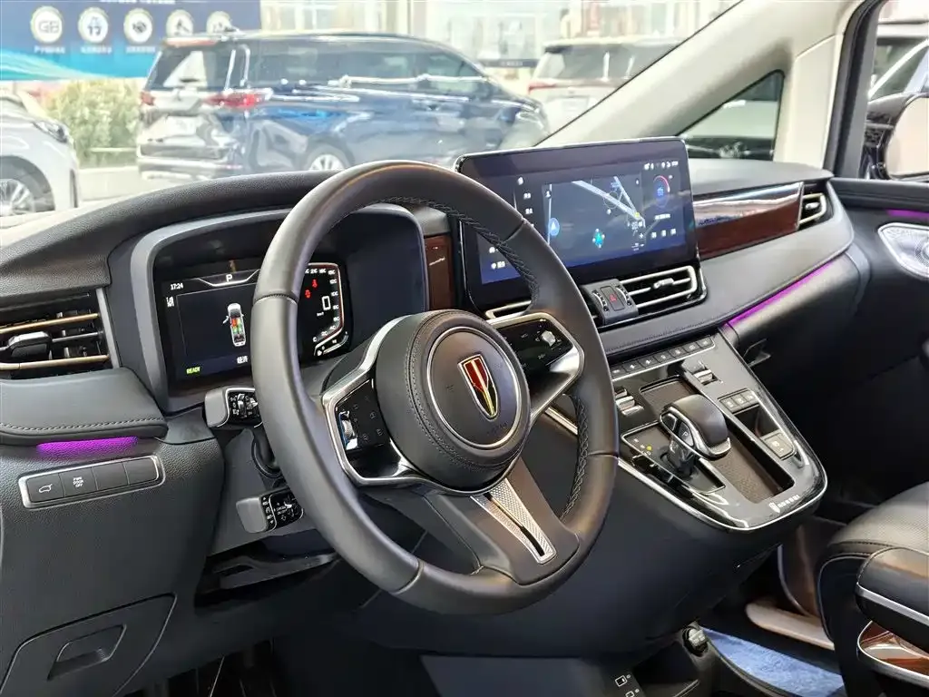 Hongqi HQ9 2023 из CN, фото 4