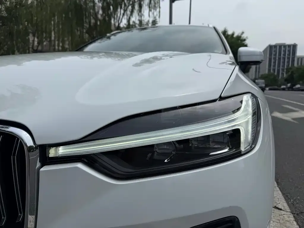 Volvo XC60 PHEV 2021 из CN, фото 3