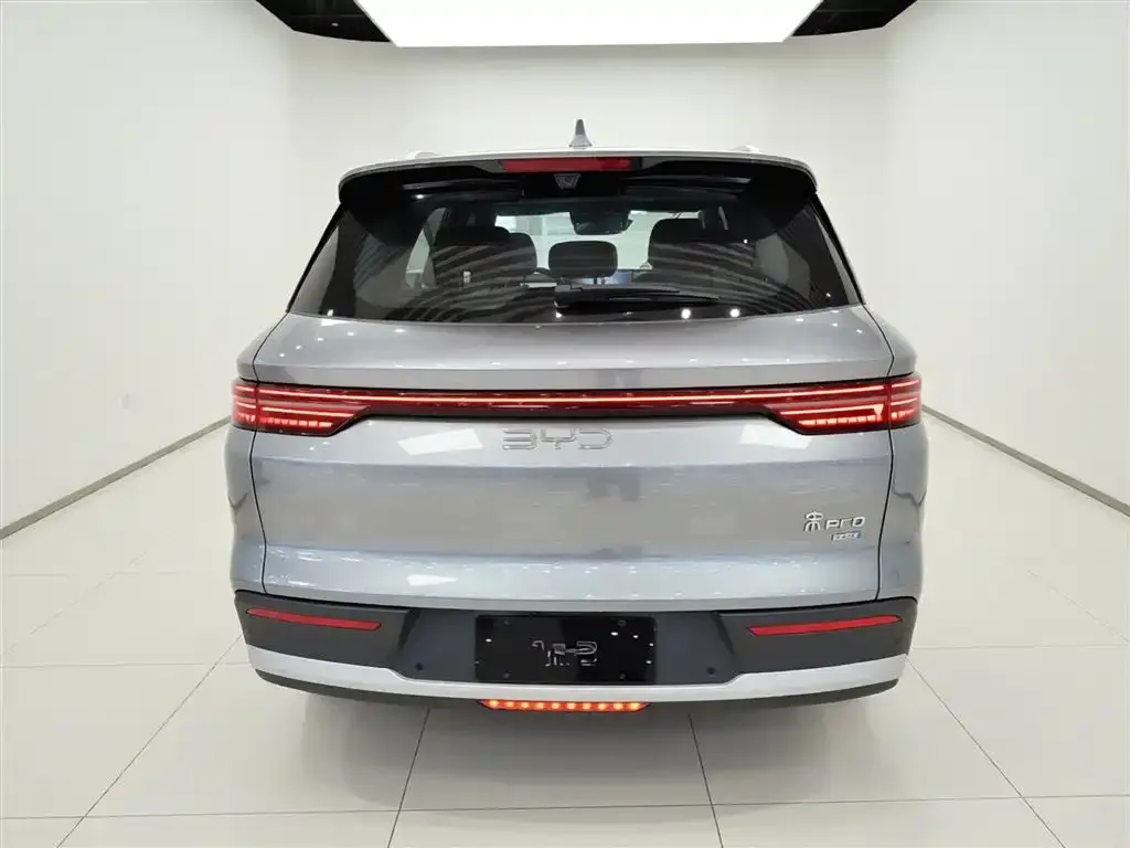 BYD Pro New Energy — фото 2