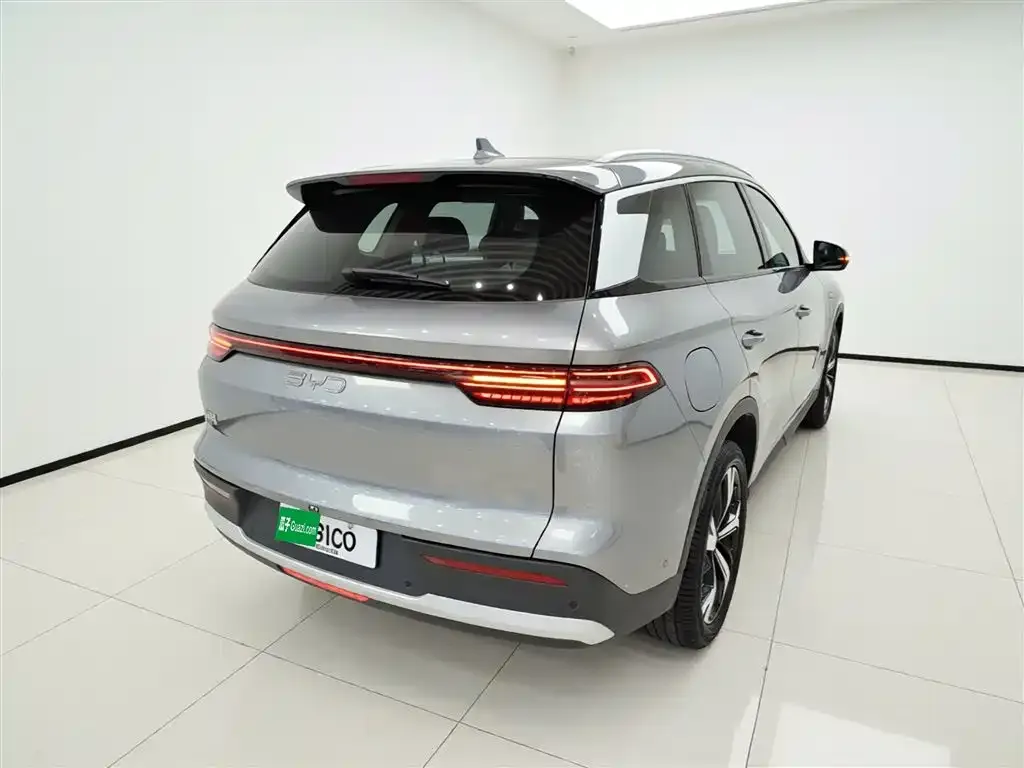 BYD Pro New Energy — фото 6