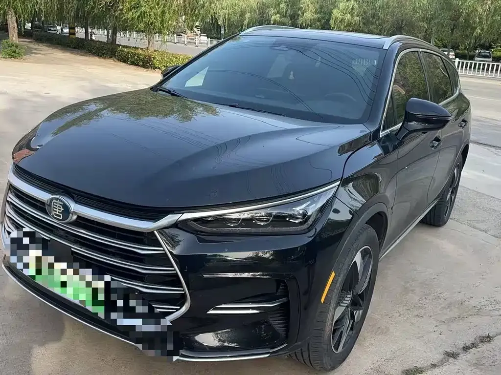 BYD Tang New Energy — фото 1