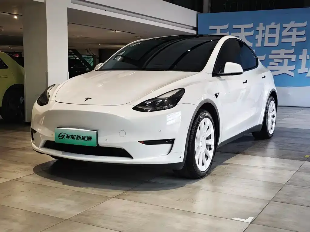 Tesla Model Y — фото 1
