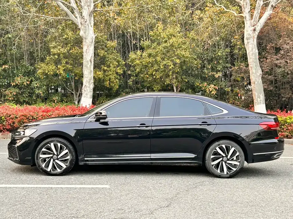 Volkswagen Passat — фото 6