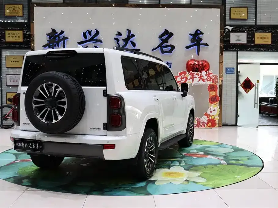 Haval H9 2024 из CN, фото 4