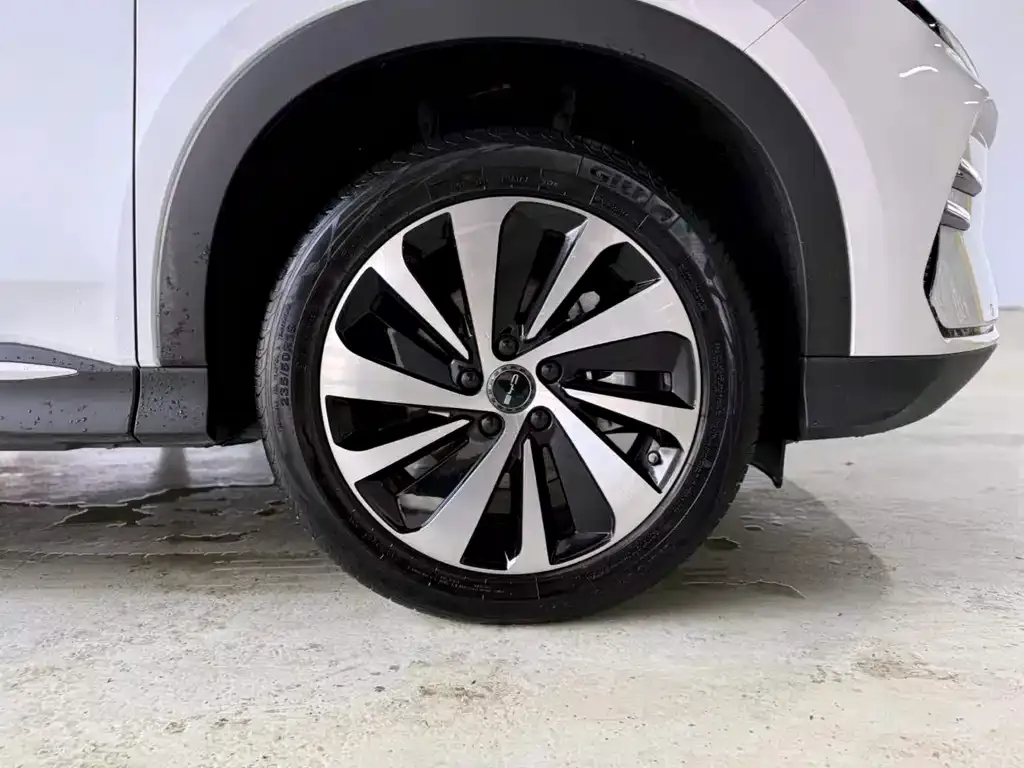BYD PLUS New Energy — фото 8