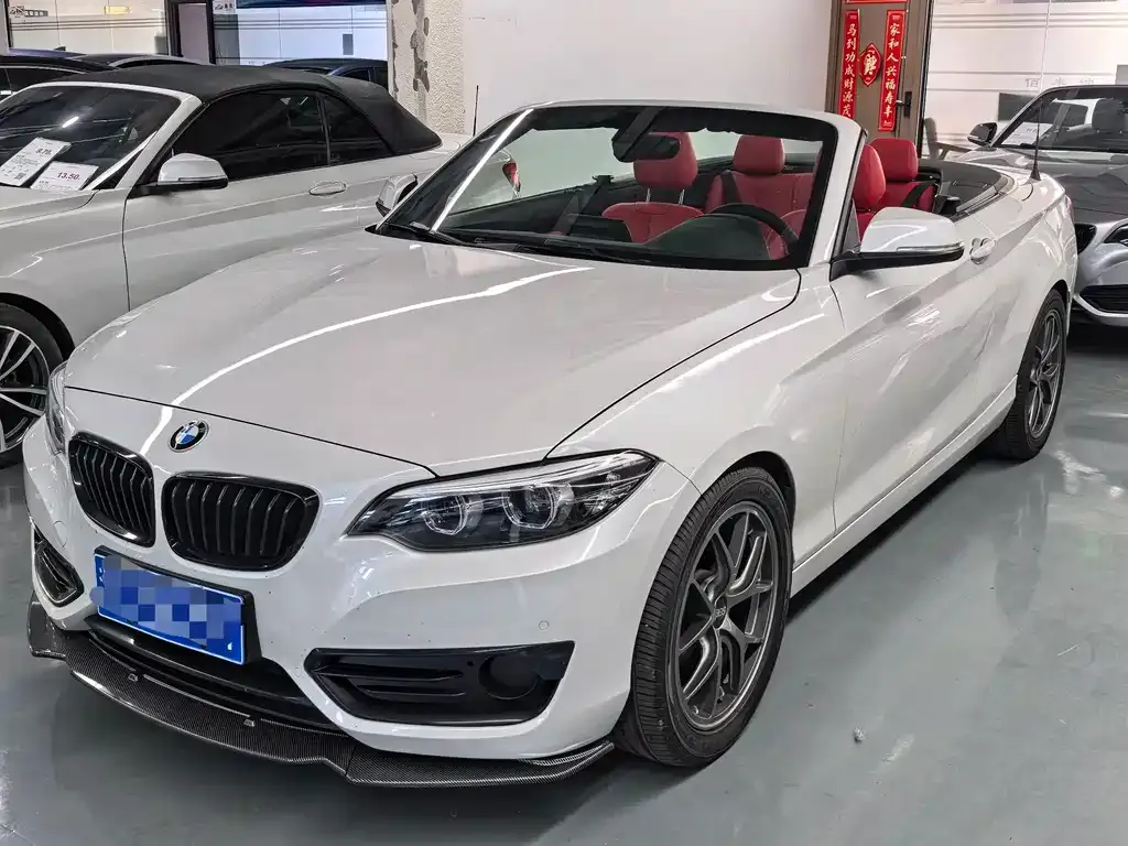 BMW 2 Series (Import)