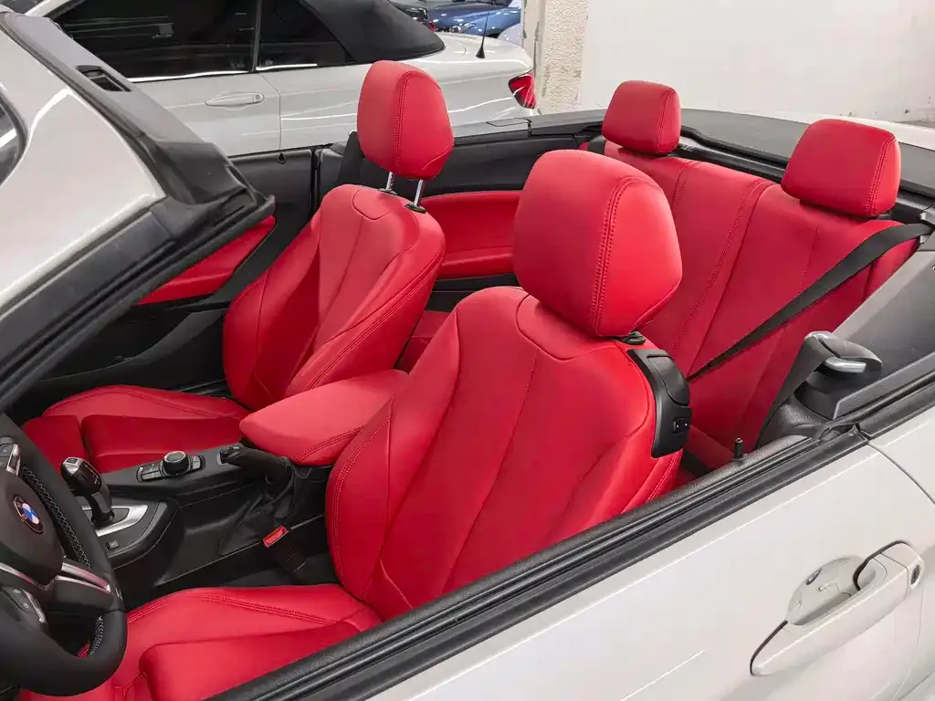 BMW 2 Series (Import) 2021 из CN, фото 7