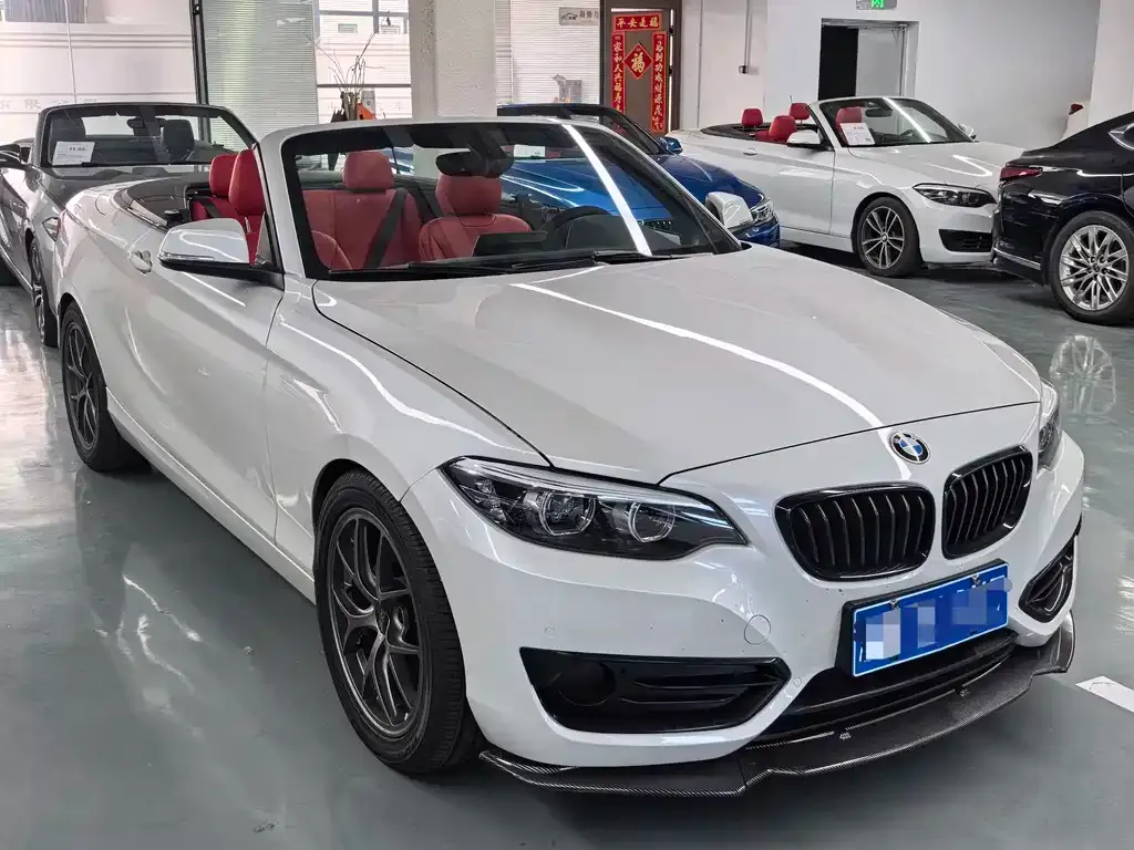 BMW 2 Series (Import) 2021 из CN, фото 10