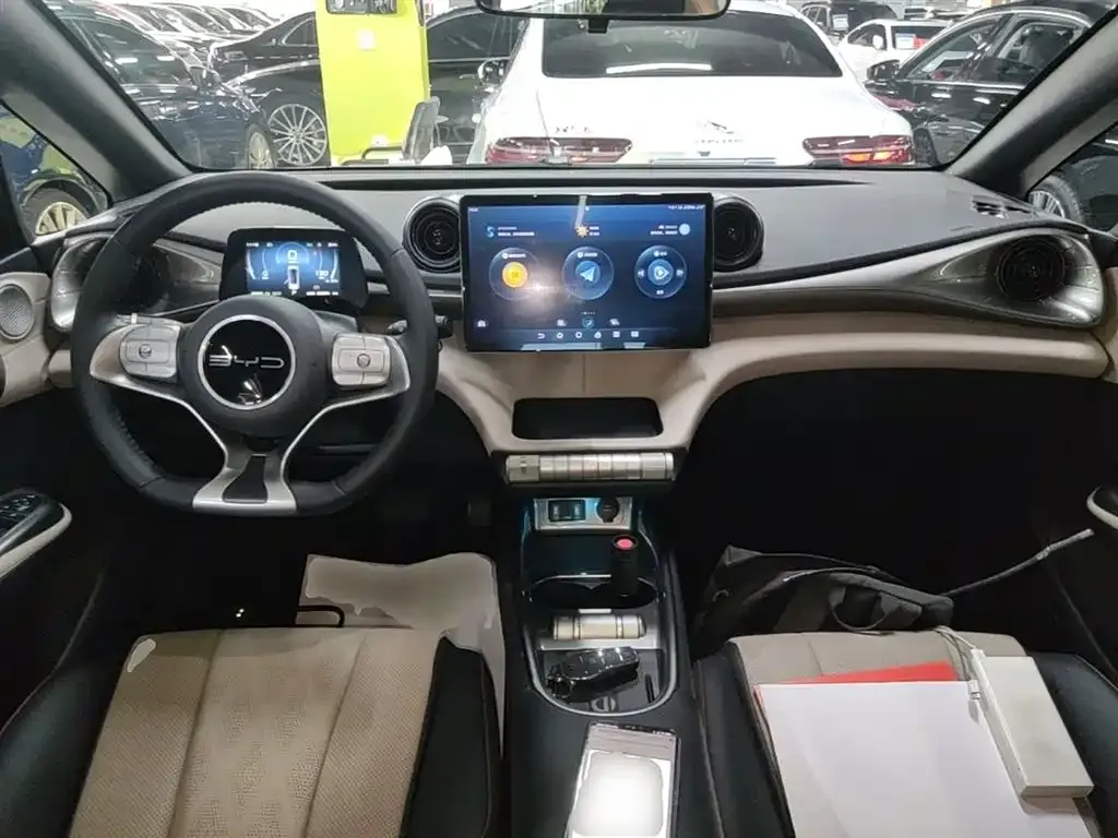 BYD Dolphin 2023 из CN, фото 10