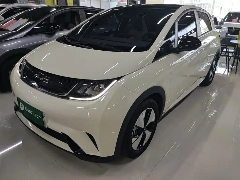 BYD Dolphin 2023 из CN, фото 5