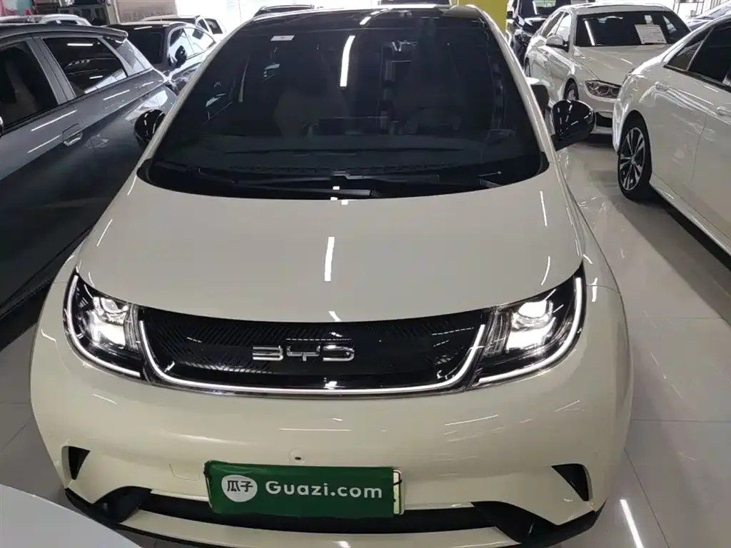 BYD Dolphin 2023 из CN, фото 3