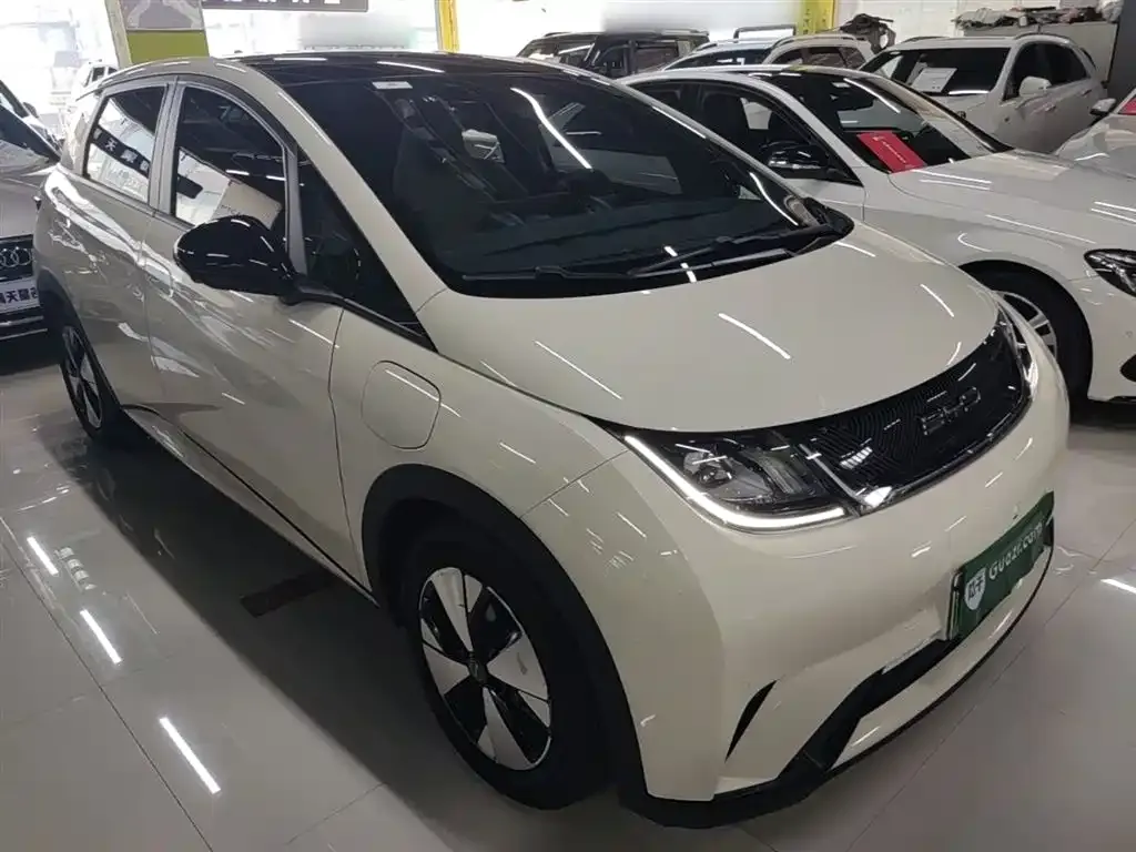 BYD Dolphin 2023 из CN, фото 8