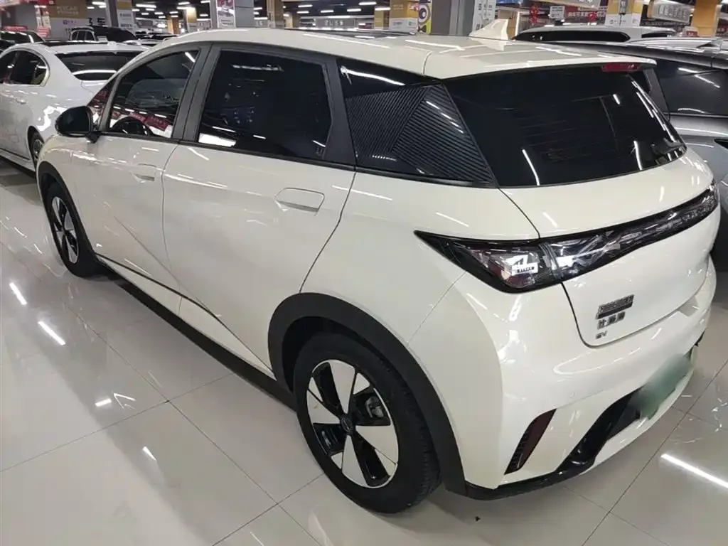 BYD Dolphin 2023 из CN, фото 4