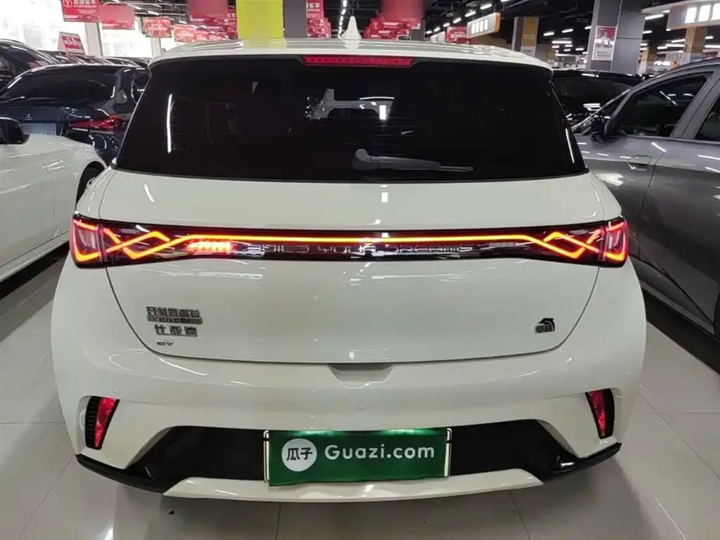 BYD Dolphin 2023 из CN, фото 6