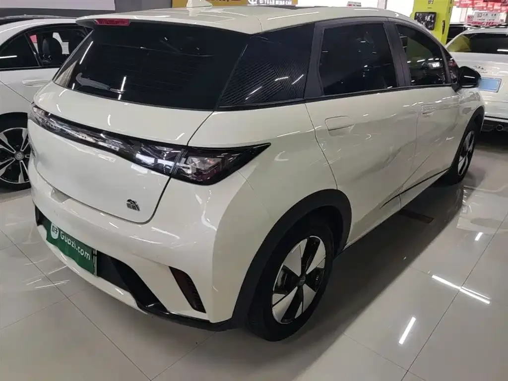 BYD Dolphin 2023 из CN, фото 7