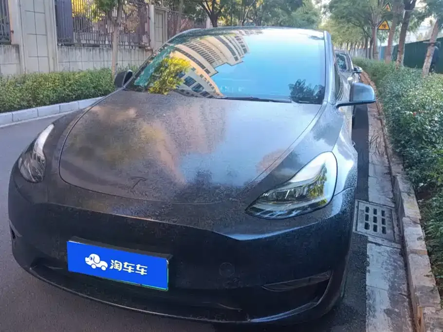 Tesla Model Y — фото 1