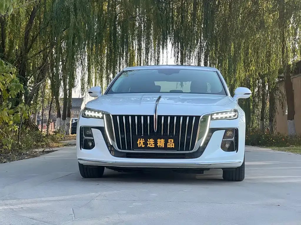 Hongqi H5 — фото 7