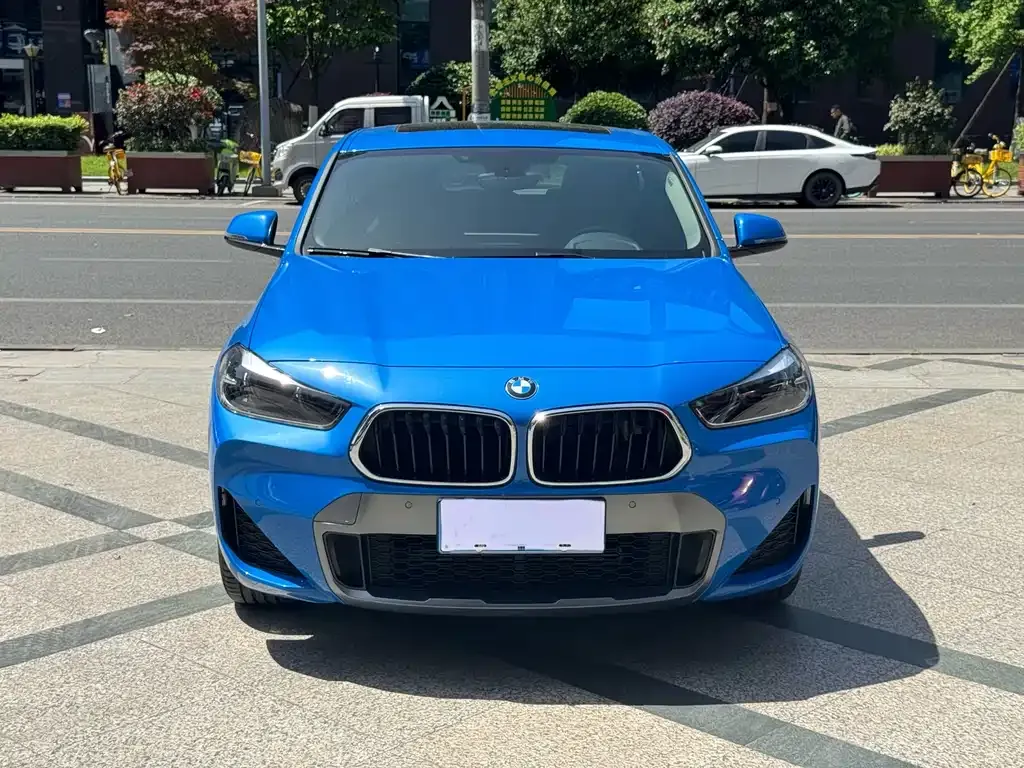 BMW X2 2022 из CN, фото 10