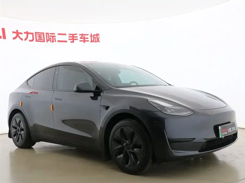 Tesla Model Y — фото 10