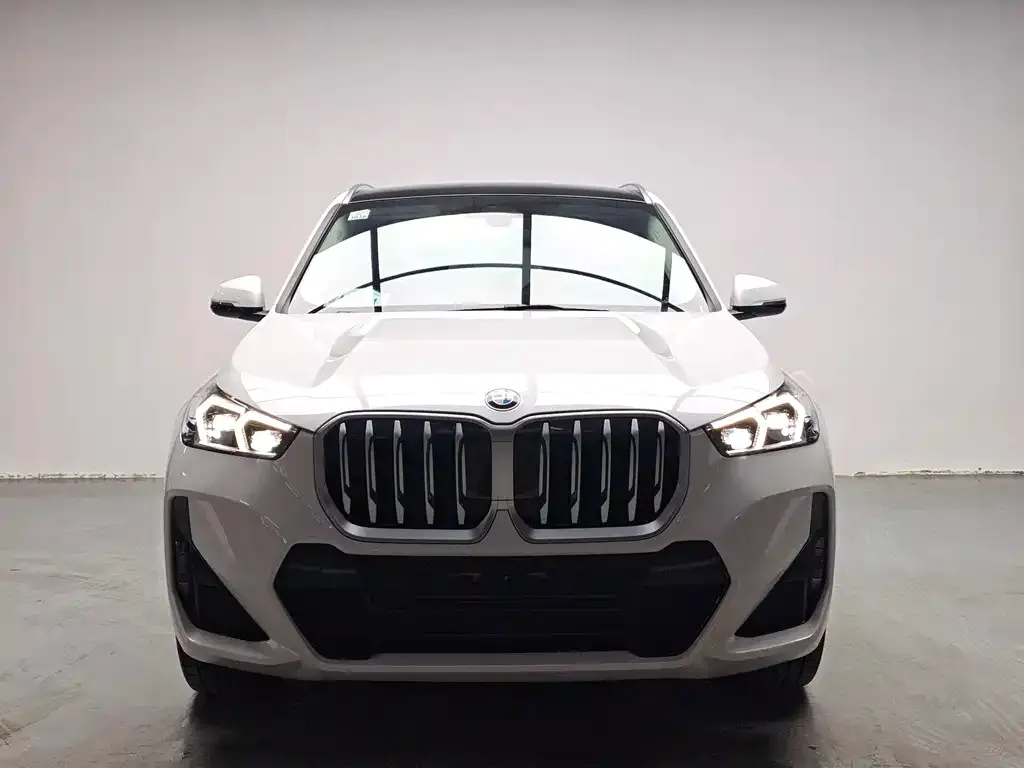 BMW X1 — фото 1