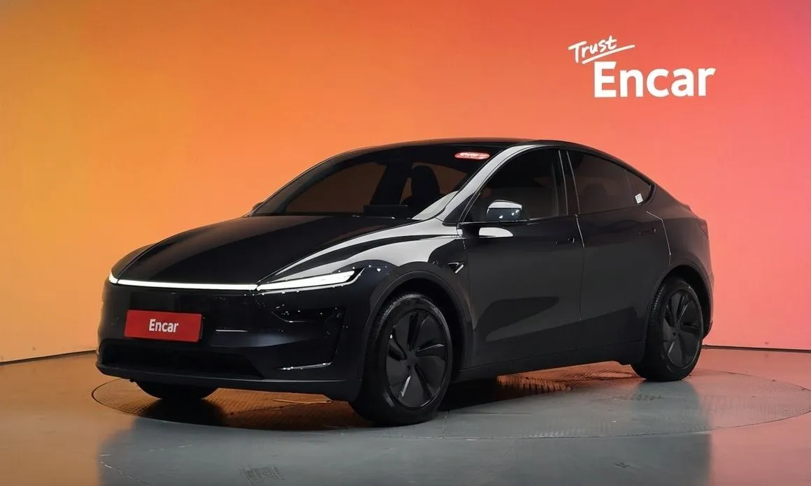Tesla Model Y — фото 1