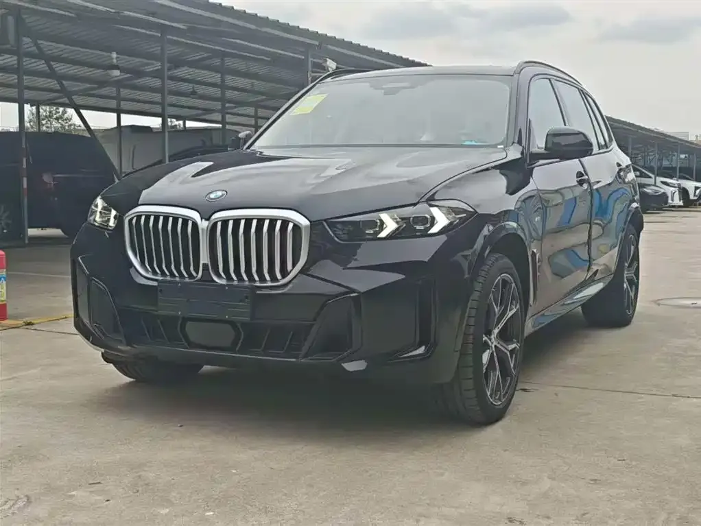 BMW X5 — фото 1