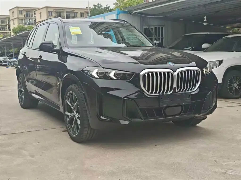 BMW X5 — фото 10