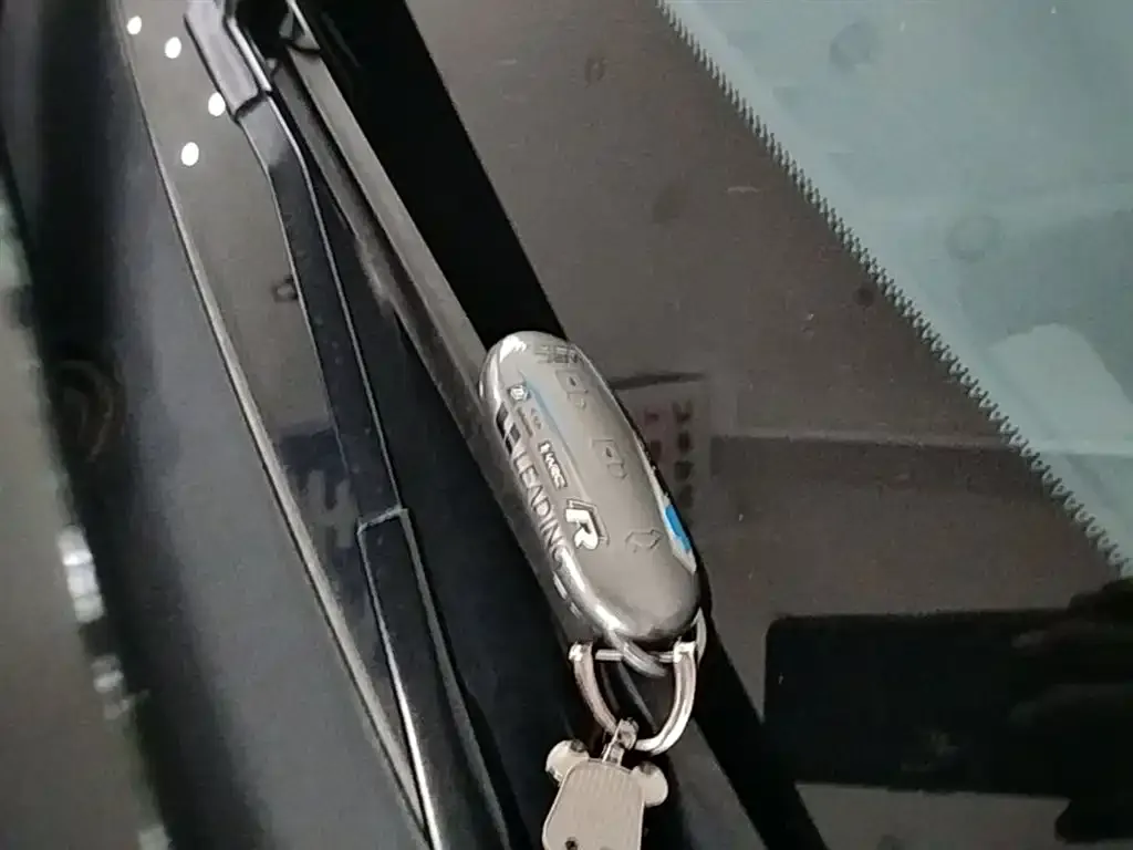Li Auto L8 2024 из CN, фото 3