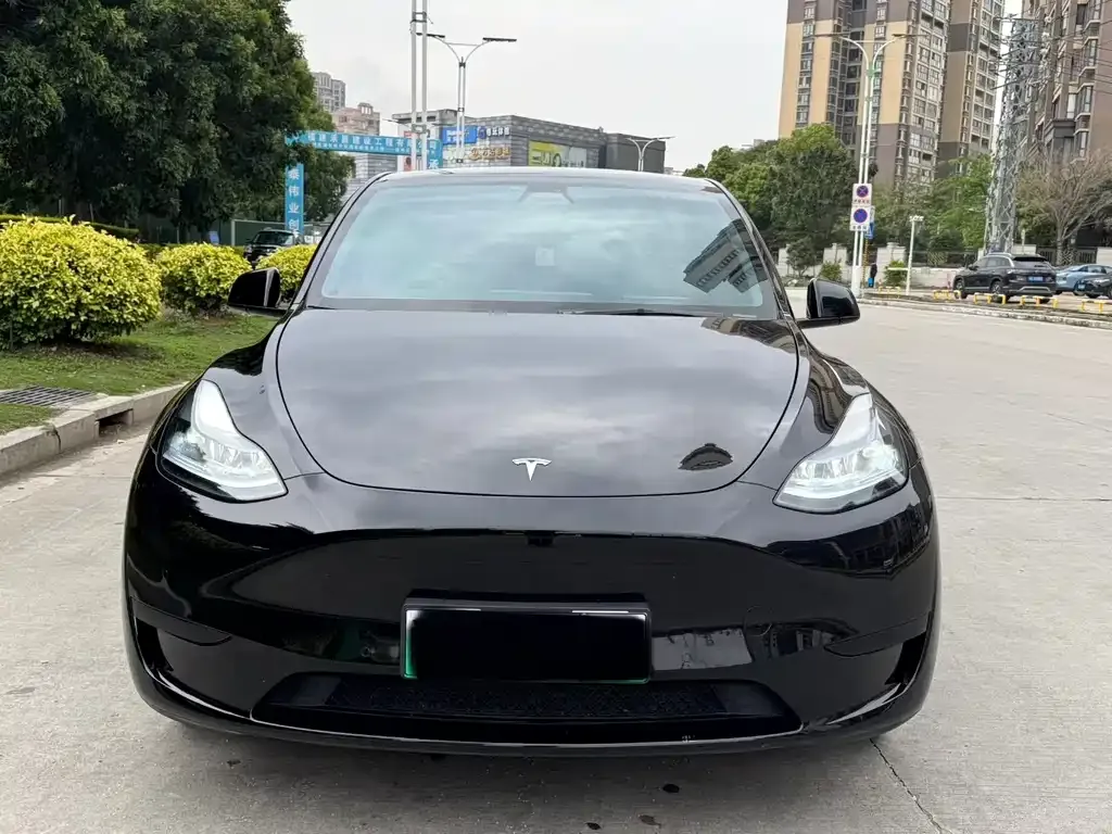 Tesla Model Y — фото 1