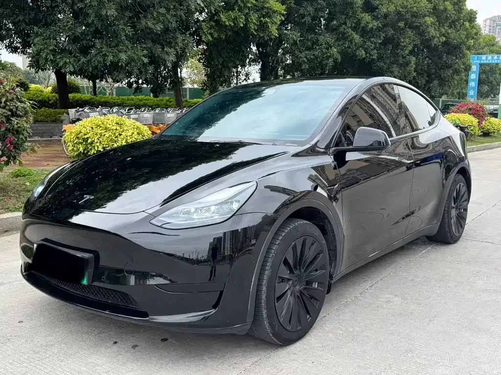 Tesla Model Y — фото 7