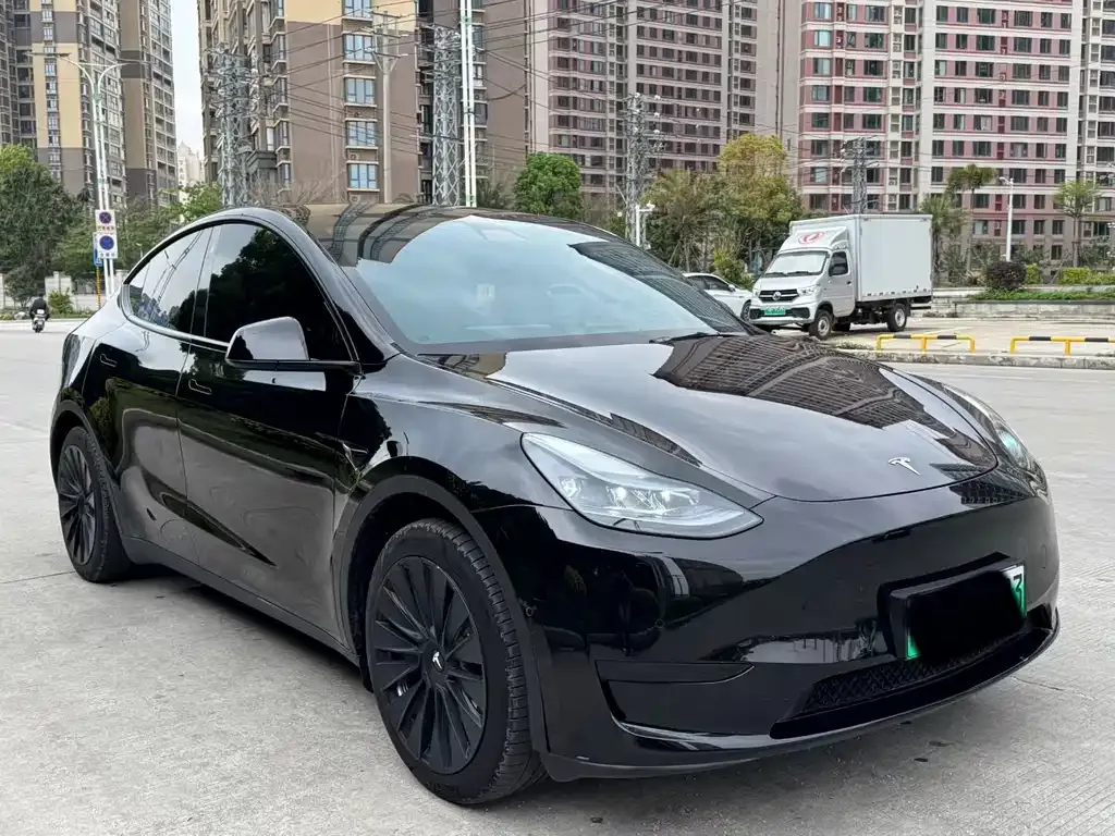Tesla Model Y — фото 6
