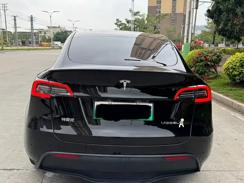 Tesla Model Y — фото 3
