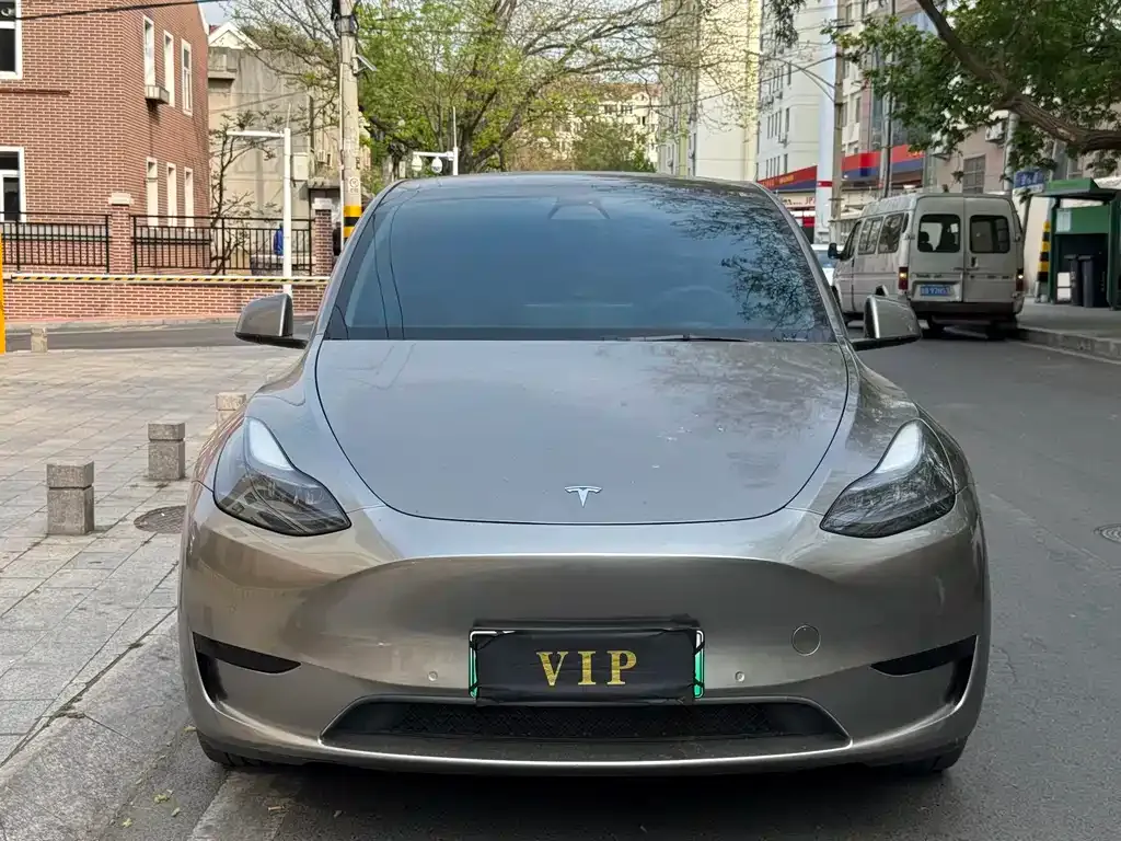 Tesla Model Y — фото 9