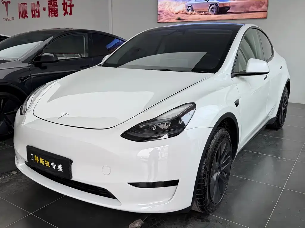 Tesla Model Y — фото 1
