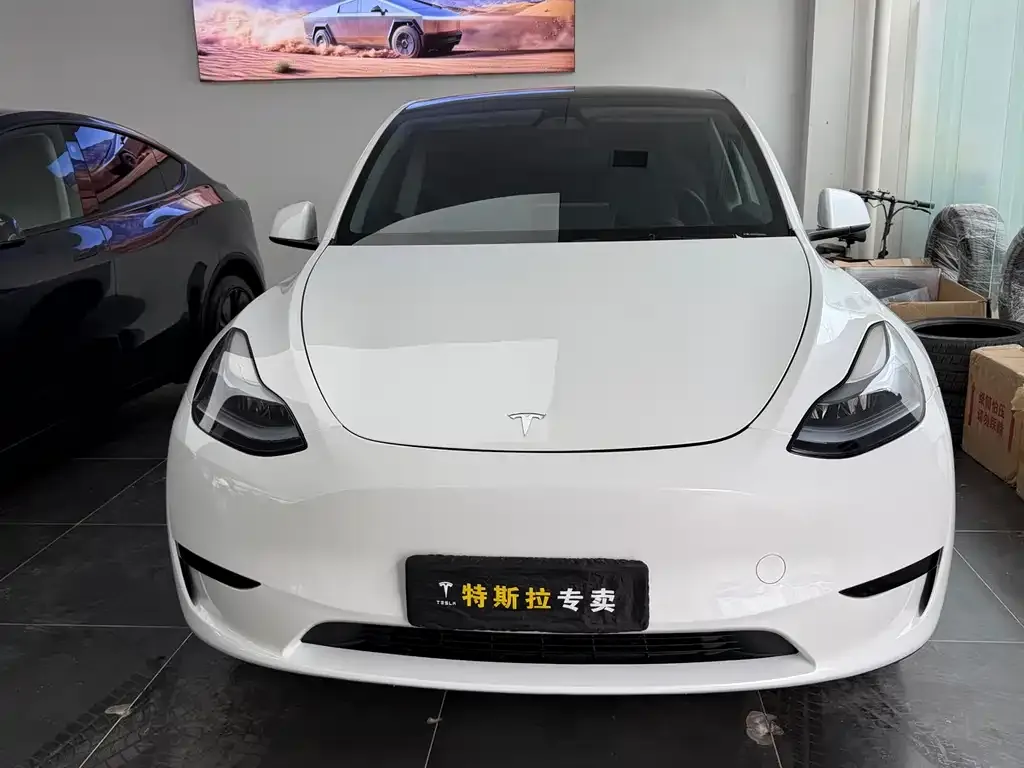 Tesla Model Y — фото 5